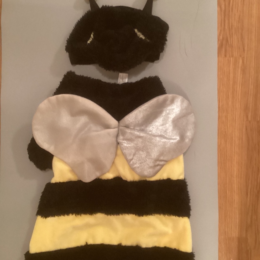 Plush bee dog costume (L-18”)